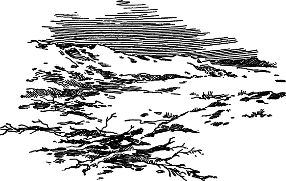 Загадки материков и океанов - i_099.png