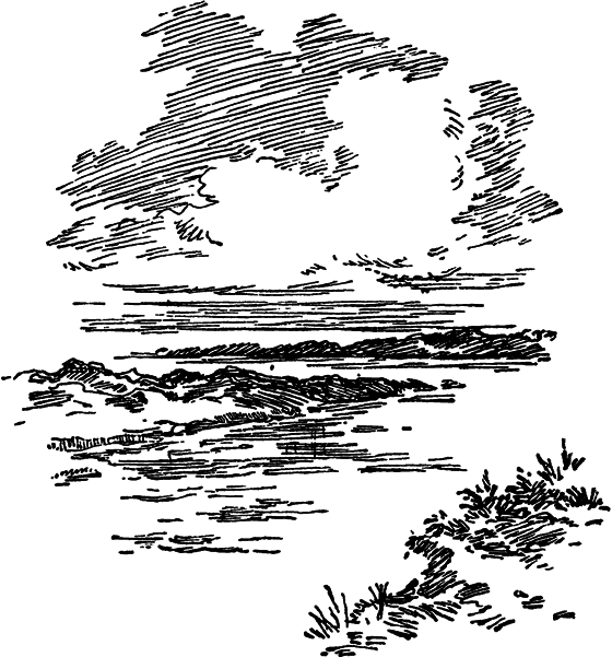 Загадки материков и океанов - i_105.png