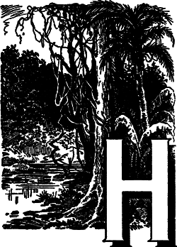 Загадки материков и океанов - i_111.png