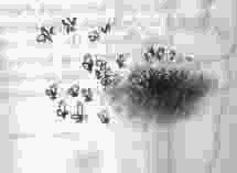 Чудаки и зануды - note_9.png