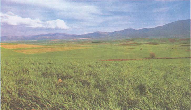 Греция и Рим. Эволюция военного искусства на протяжении 12 веков - img_16.jpeg