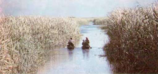 В океане "Тигрис" - _20.jpg