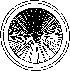 Пятьсот двадцать головоломок - _100_1.png