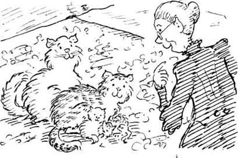 Леди Кошка - pic_23.jpg