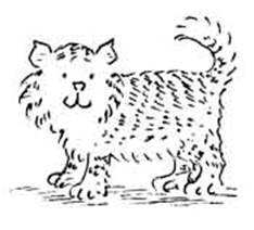 Леди Кошка - pic_24.jpg