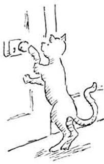 Леди Кошка - pic_50.jpg