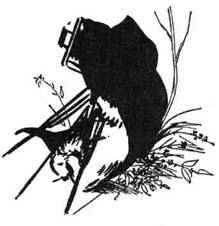 Все о медвежонке Паддингтоне - i_032.jpg