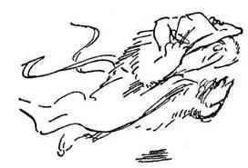 Все о медвежонке Паддингтоне - i_084.jpg