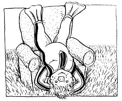 Субастик в опасности - i_021.png