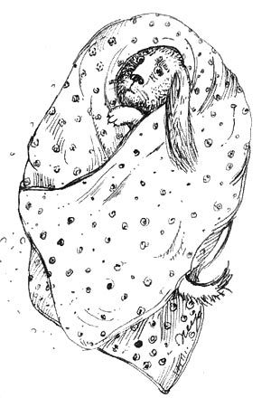 Мохнатый ребенок - i_007.jpg