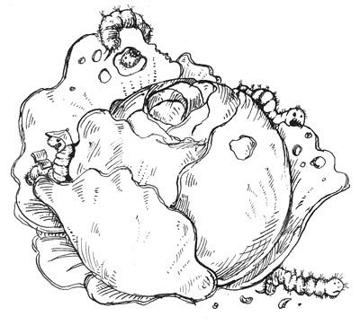 Мохнатый ребенок - i_027.jpg