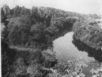 Тютчев - pic_39.jpg