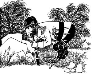 Разбойник Хотценплотц и хрустальный шар - i_017.jpg