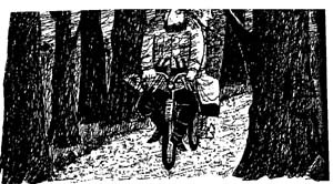 Разбойник Хотценплотц и хрустальный шар - i_022.jpg