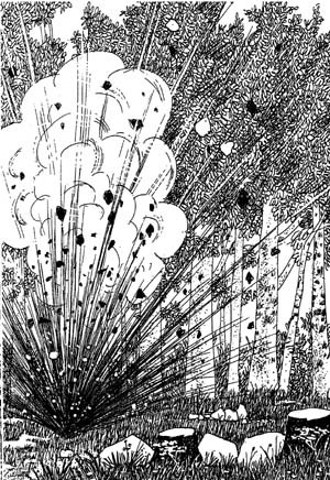 Разбойник Хотценплотц и муравейник с начинкой - i_023.jpg