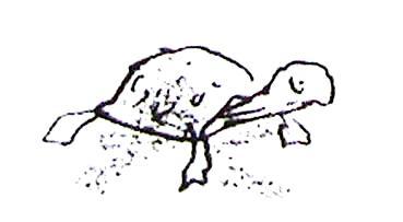 Послушай мое сердце - _00022.jpg