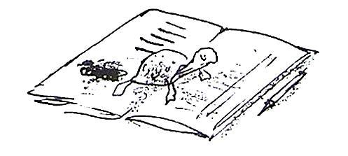 Послушай мое сердце - _00026.jpg