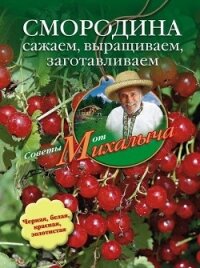 Помидоры, огурцы. Сажаем, выращиваем, заготавливаем - Звонарев Николай Михайлович "Михалыч"
