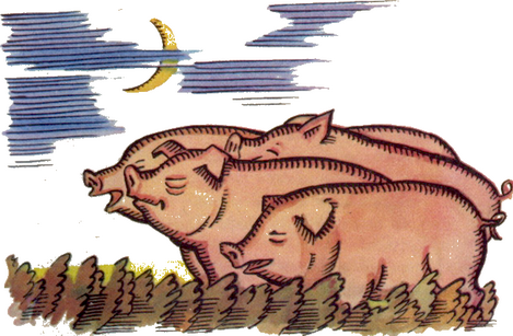 Козак Мамарига - i_015.png