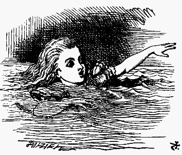 Приключения Алисы в стране чудес (Пер. Н.М. Демуровой) - bdtofb2im_8.png