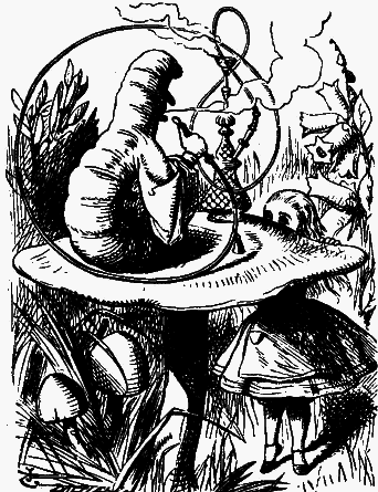 Приключения Алисы в стране чудес (Пер. Н.М. Демуровой) - bdtofb2im_16.png