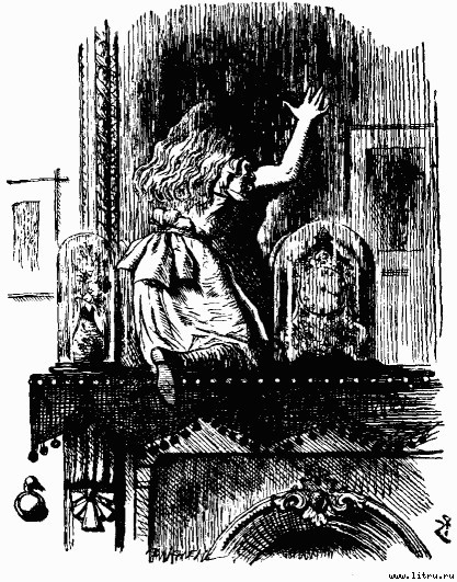 Сквозь зеркало и что там увидела Алиса, или Алиса в Зазеркалье (Пер.Н.М. Демуровой) (иллюстрациями) - bdtofb2im_5.jpg