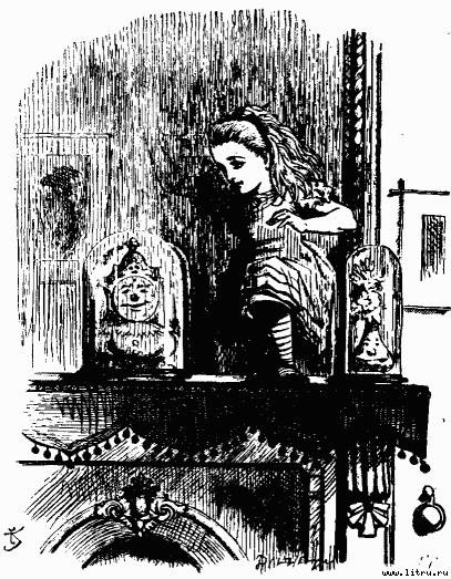Сквозь зеркало и что там увидела Алиса, или Алиса в Зазеркалье (Пер.Н.М. Демуровой) (иллюстрациями) - bdtofb2im_6.jpg