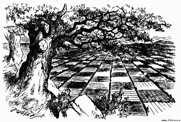 Сквозь зеркало и что там увидела Алиса, или Алиса в Зазеркалье (Пер.Н.М. Демуровой) (иллюстрациями) - bdtofb2im_14.jpg