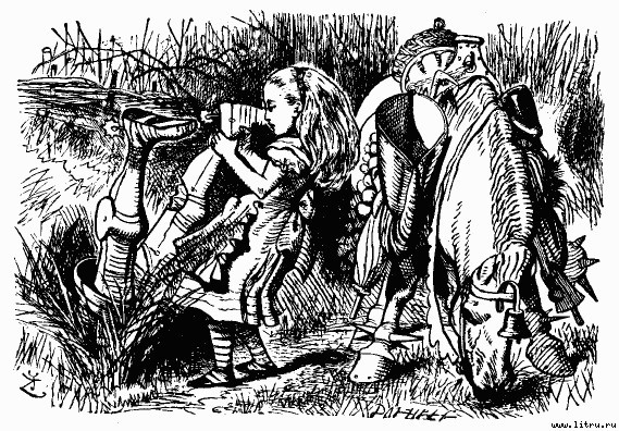 Сквозь зеркало и что там увидела Алиса, или Алиса в Зазеркалье (Пер.Н.М. Демуровой) (иллюстрациями) - bdtofb2im_42.jpg