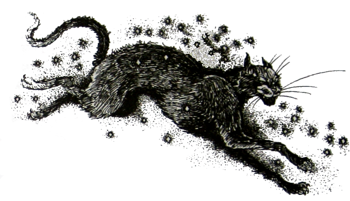 Амулет Судьбы - i_033.png