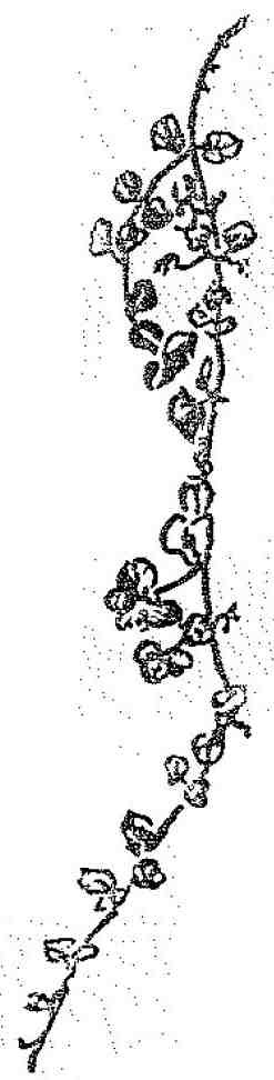 Красношейка - i_009.jpg