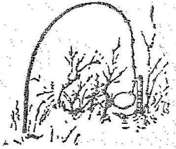 Красношейка - i_010.jpg