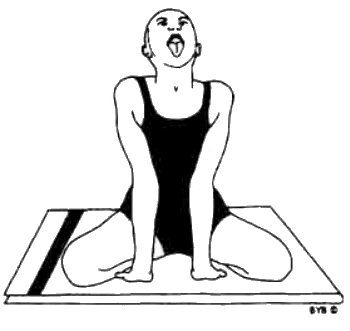 Асана, пранаяма, мудра, бандха - image49.jpg