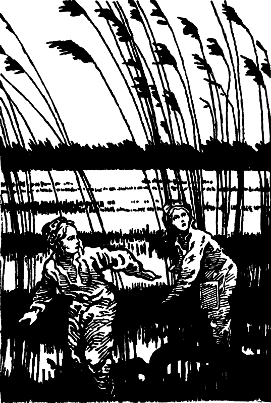 От заката до рассвета - i_006.png