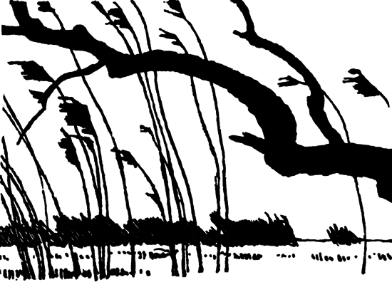 От заката до рассвета - i_007.png