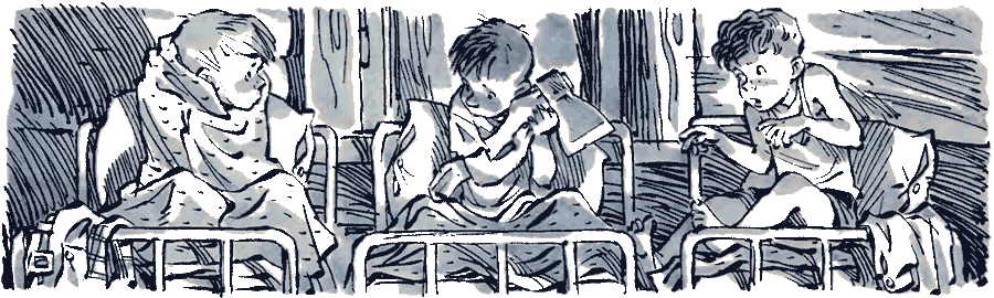 Носов - Тук-тук-тук [Иллюстрации Е. Мигунова] - i_008.png