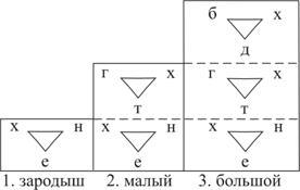 Книга ЗОАР - pic_20.jpg