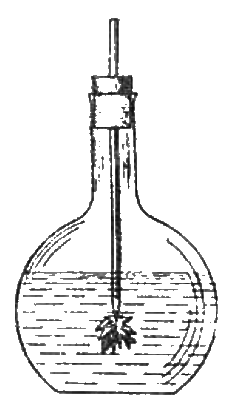 Удивительная химия - i_050.png