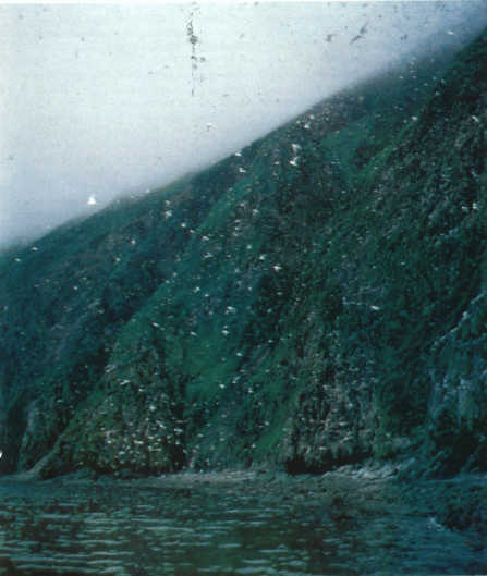 Лососи, бобры, каланы - i_086.jpg