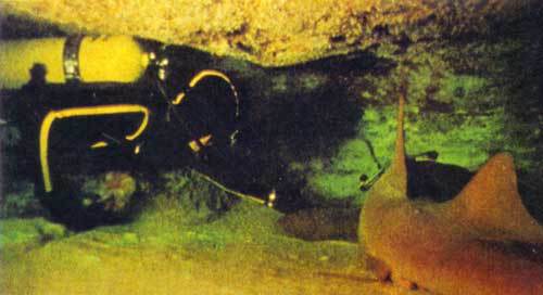 Сюрпризы моря - i_045.jpg