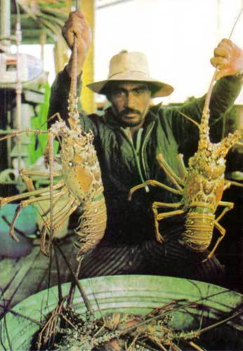 Сюрпризы моря - i_054.jpg