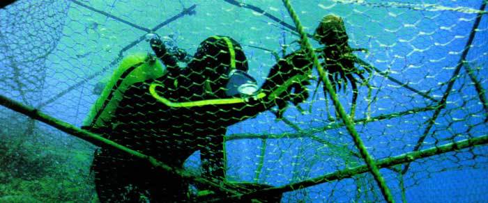 Сюрпризы моря - i_062.jpg