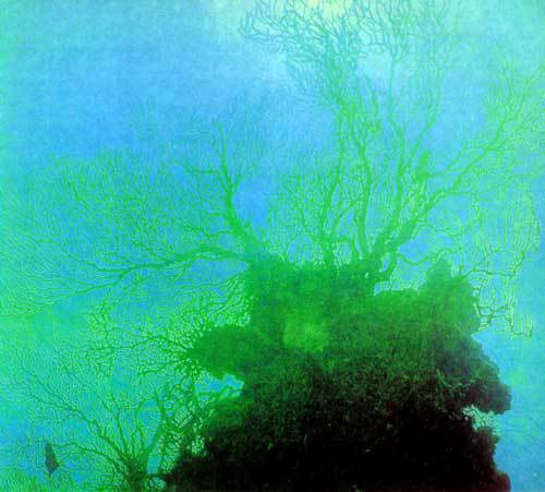 Сюрпризы моря - i_069.jpg