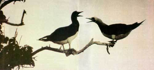 Сюрпризы моря - i_125.jpg