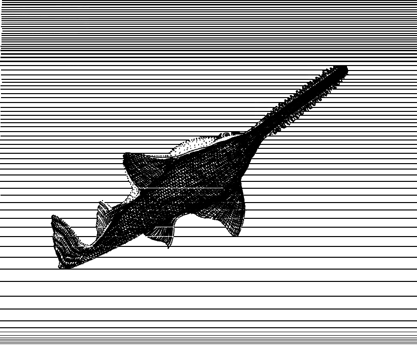 Сюрпризы моря - i_157.png