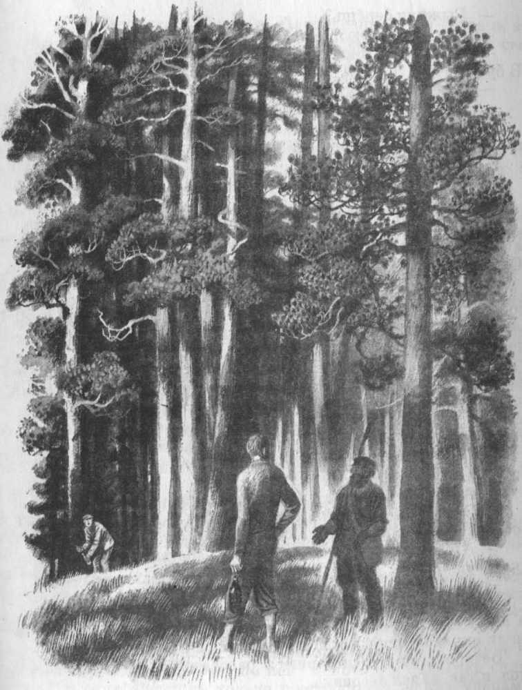 Кепка с карасями - _27.jpg