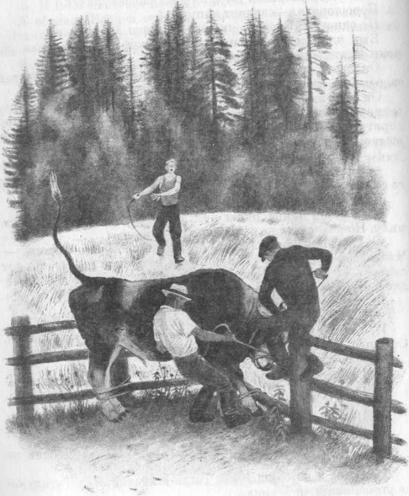 Кепка с карасями - _35.jpg