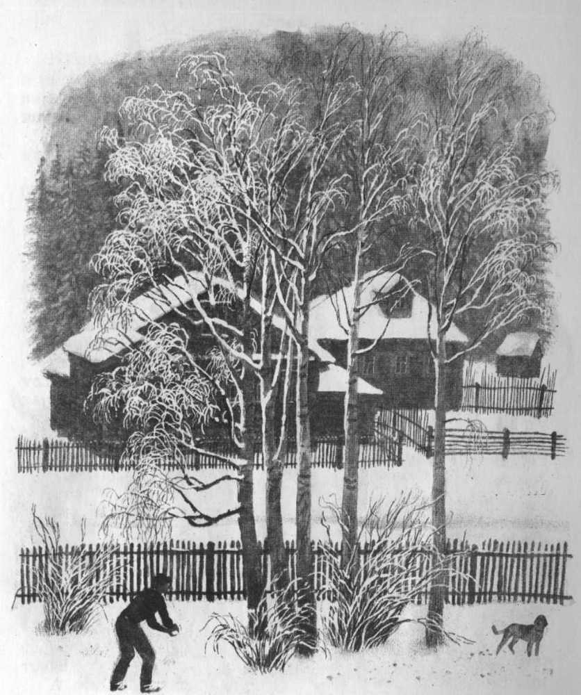 Кепка с карасями - _70.jpg