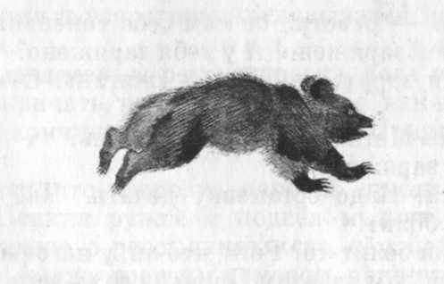 Кепка с карасями - _50.jpg