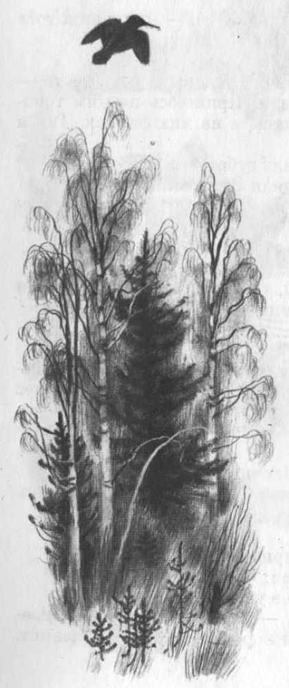 Кепка с карасями - _23.jpg